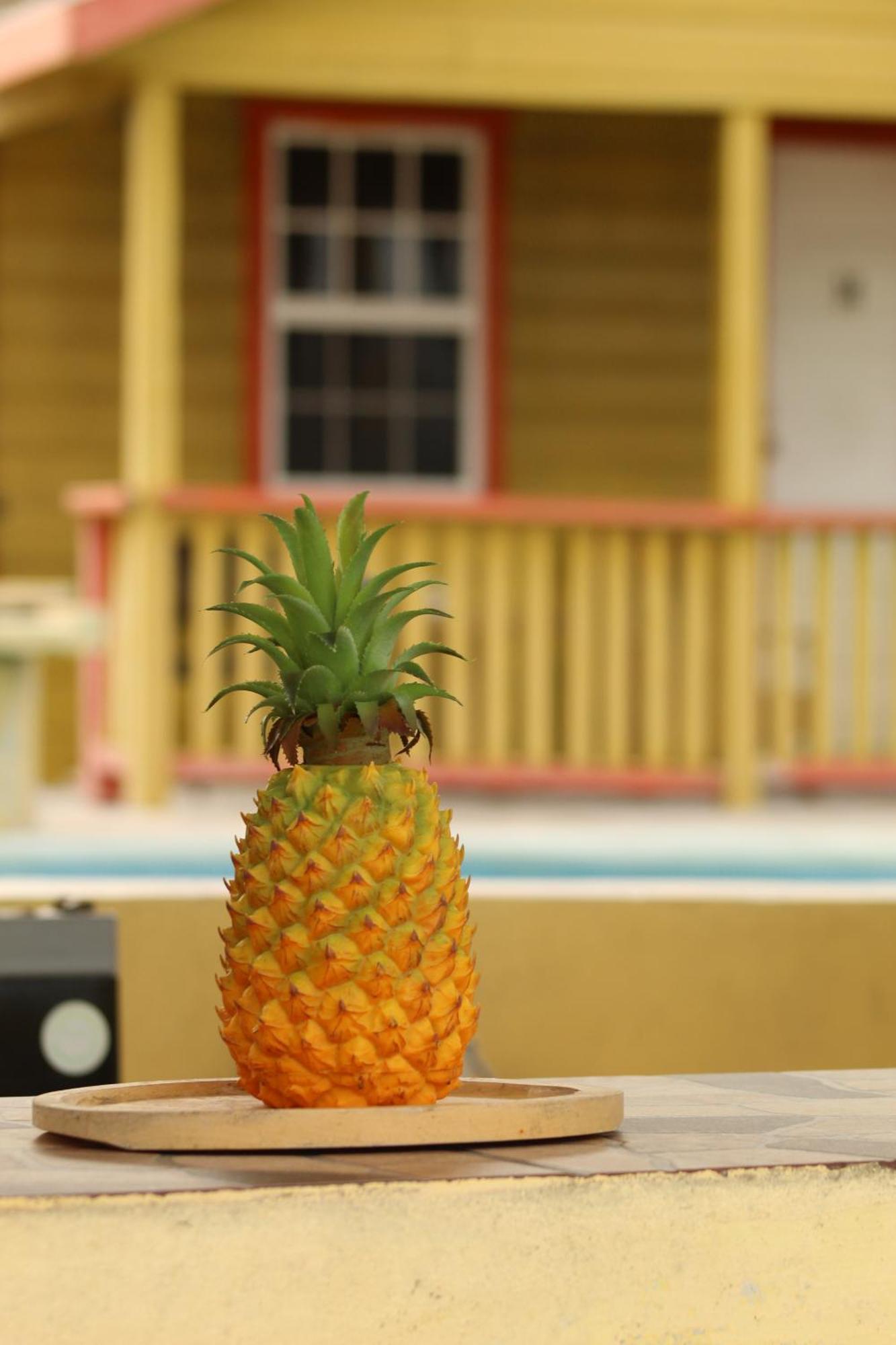 Tropical Paradise Кайе Колкер Екстериор снимка
