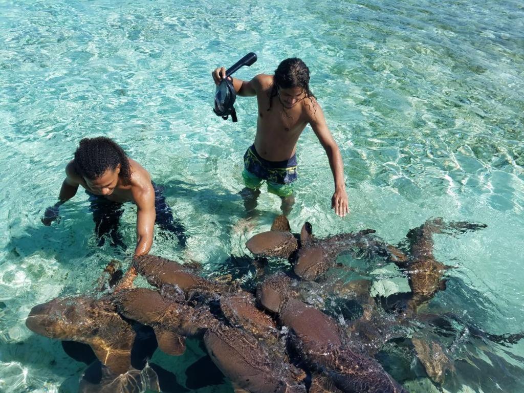 Tropical Paradise Кайе Колкер Екстериор снимка